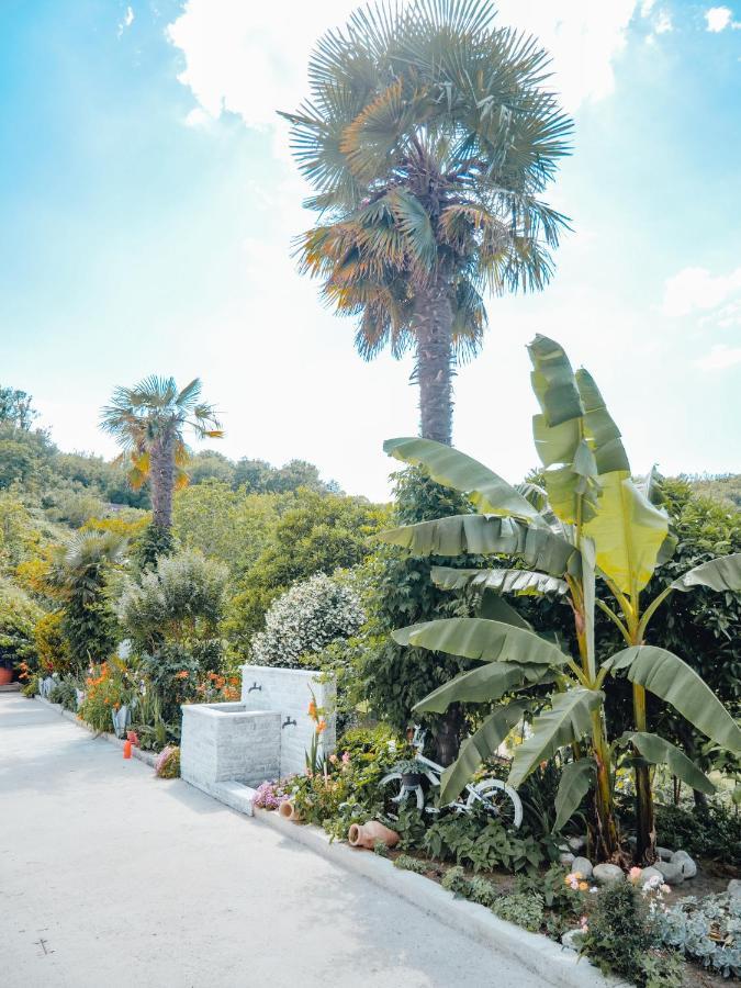 Apartments Gjenashaj Ulcinj Eksteriør billede